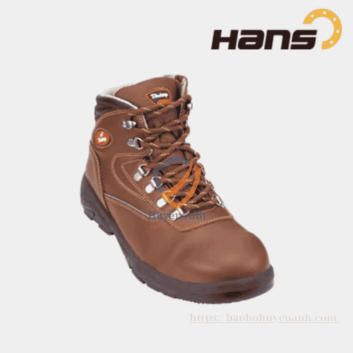 Giay-bao-ho-han-quoc-hans-hs-05-2-birdeye-co-cao-thoang-khi